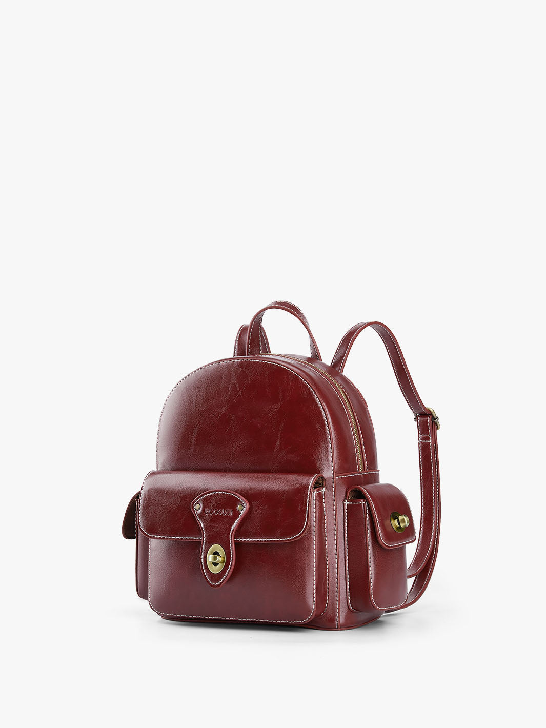 Alison Vintage Vegan Leather Mini Backpack